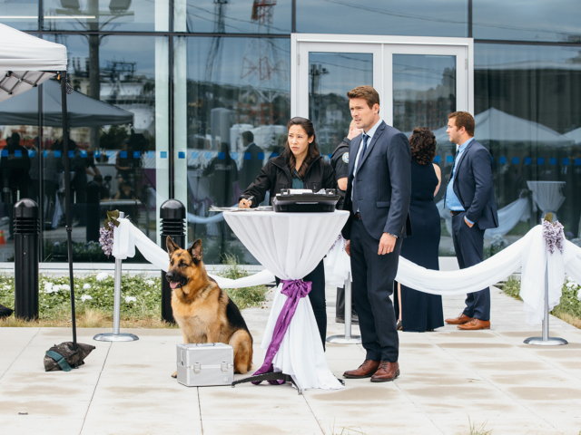 Hudson &amp; Rex Episode 206