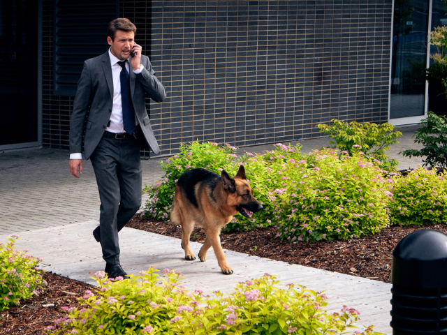 Hudson &amp; Rex Episode 206