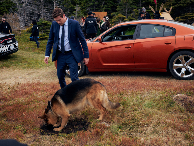 Hudson &amp; Rex Episode 208