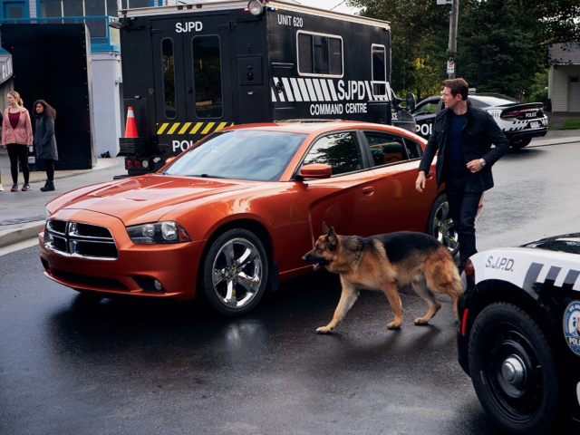 Hudson &amp; Rex Episode 209