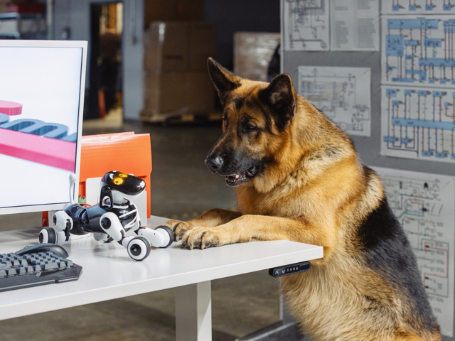 Hudson &amp; Rex Episode 211