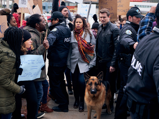 Hudson &amp; Rex Episode 213