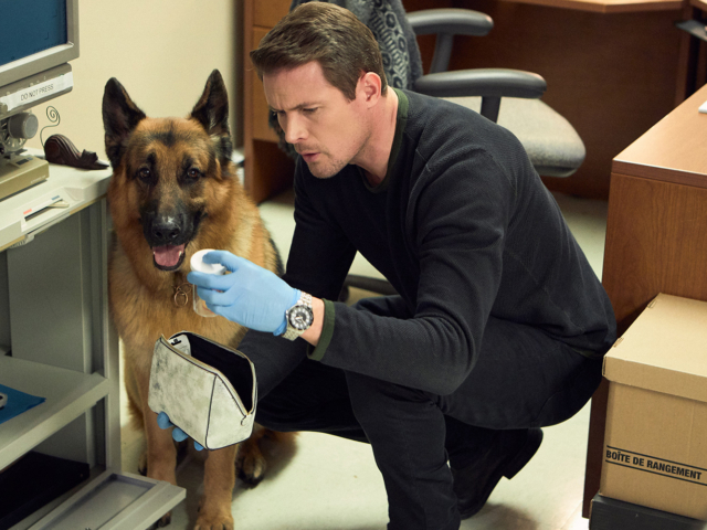 Hudson &amp; Rex Episode 213