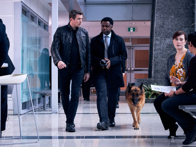 Hudson &amp; Rex Episode 213