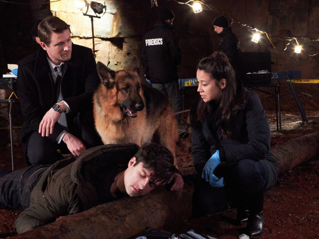 Hudson &amp; Rex Episode 214