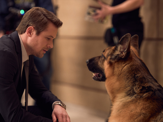 Hudson &amp; Rex Episode 214