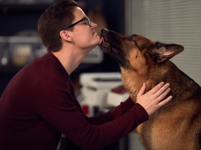 Hudson &amp; Rex Episode 214