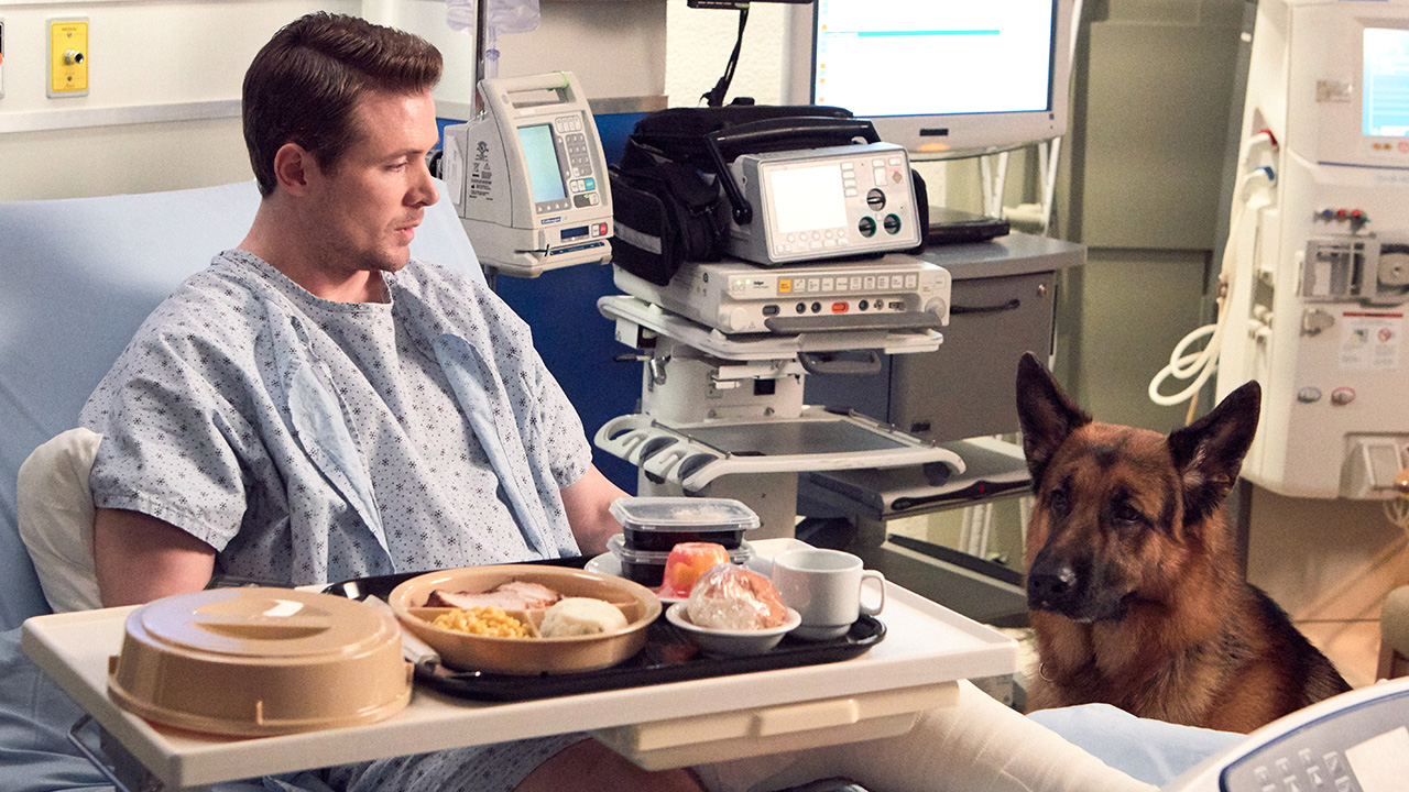 Hudson & Rex - Hudson & Rex – Earning Brownie Points