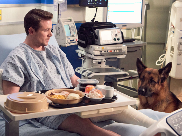 Hudson &amp; Rex Episode 216