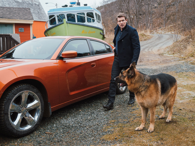 Hudson &amp; Rex Episode 216