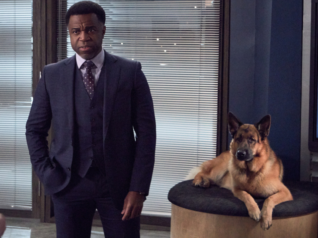 Hudson &amp; Rex Episode 217