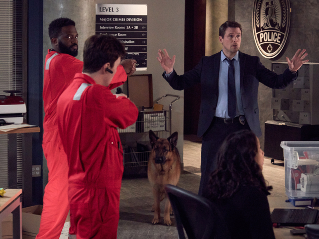 Hudson &amp; Rex Episode 217