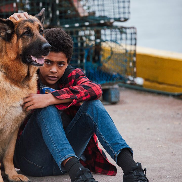 Hudson &amp; Rex Episode 301