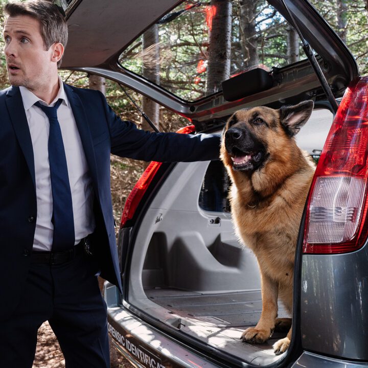 Hudson &amp; Rex Episode 301