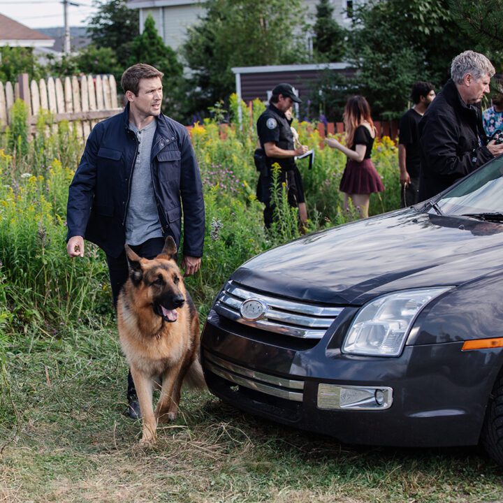 Hudson &amp; Rex Episode 303