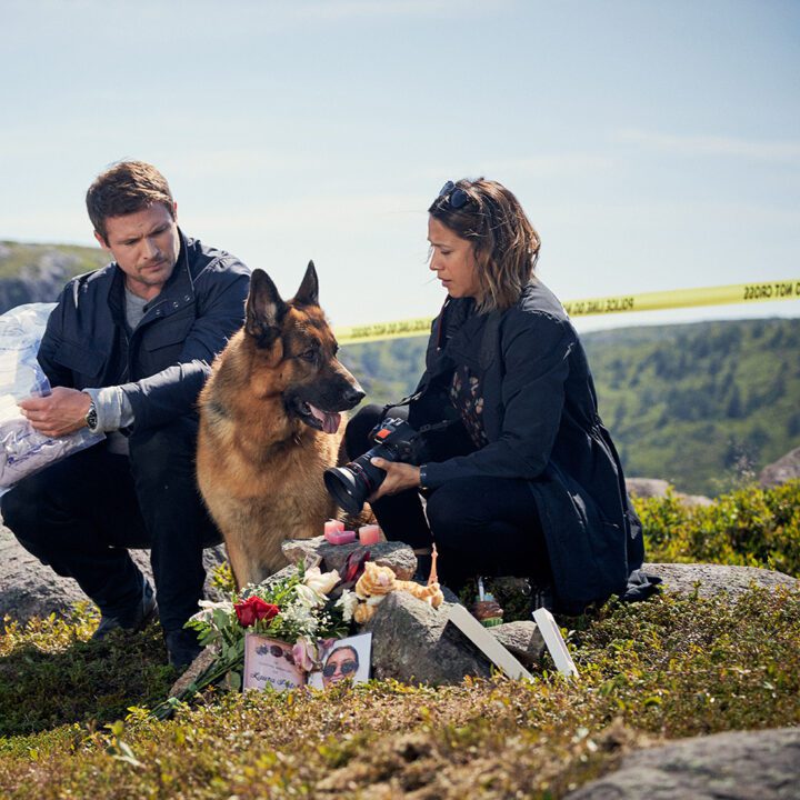 Hudson &amp; Rex Episode 303