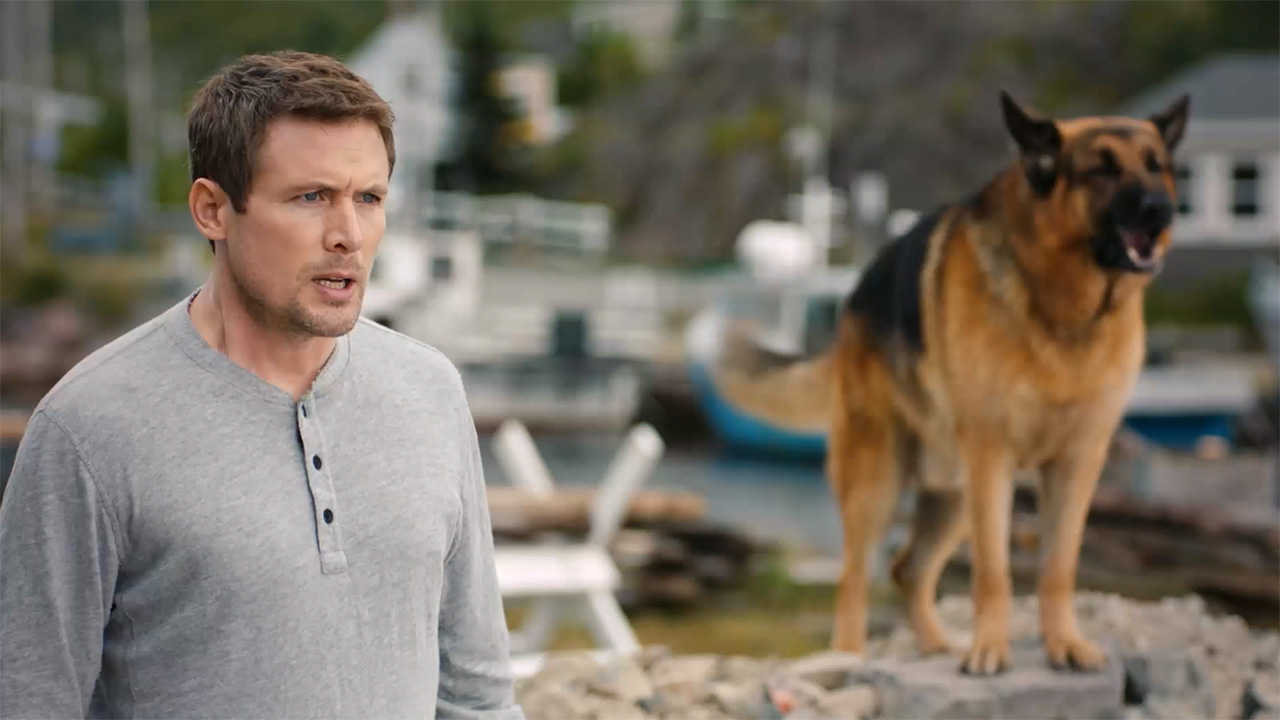 Hudson & Rex - Hudson & Rex – Rock the Boat