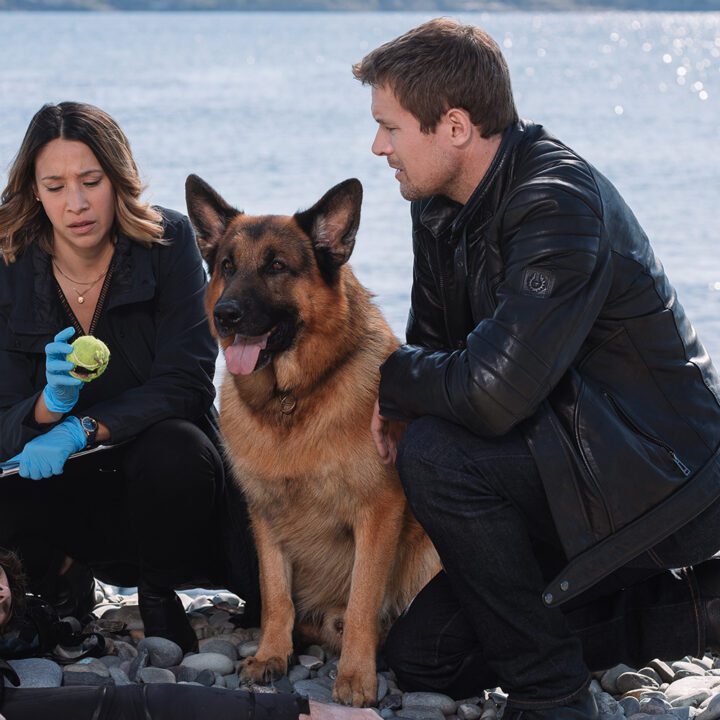 Hudson &amp; Rex Episode 307