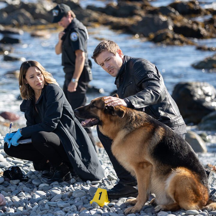 Hudson &amp; Rex Episode 307