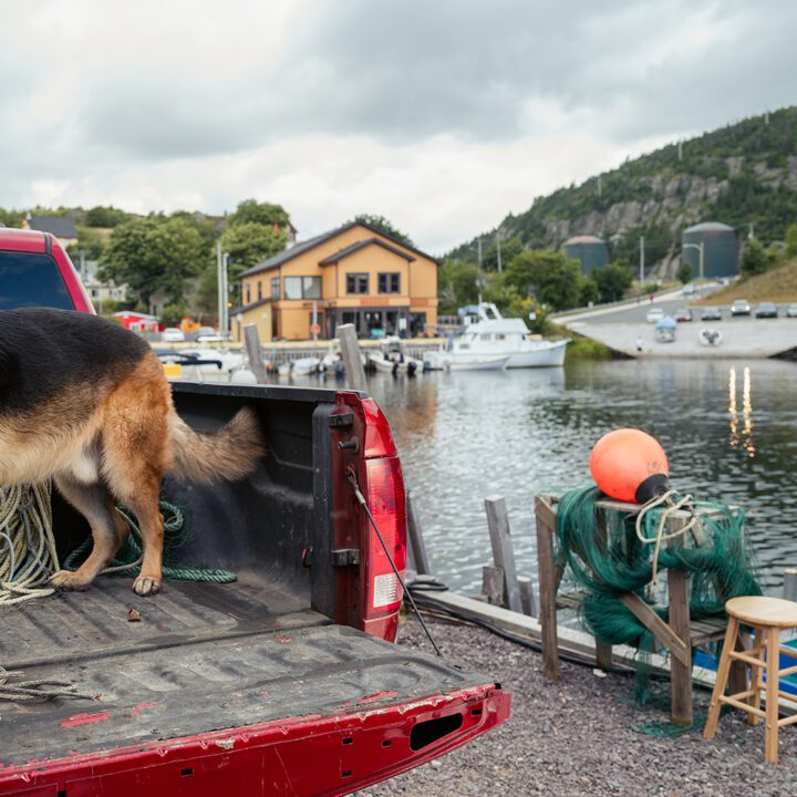 Hudson &amp; Rex Episode 307