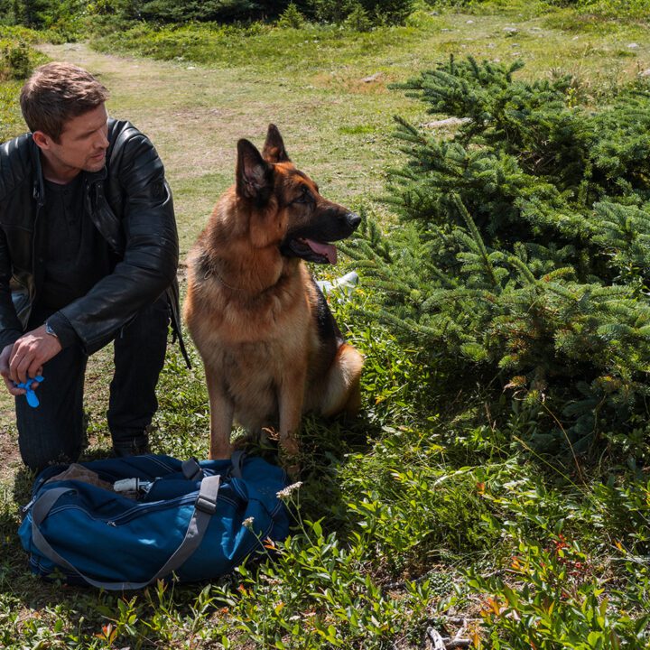 Hudson &amp; Rex Episode 307