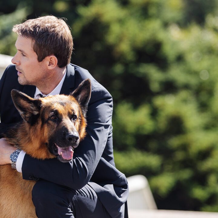 Hudson &amp; Rex Episode 308