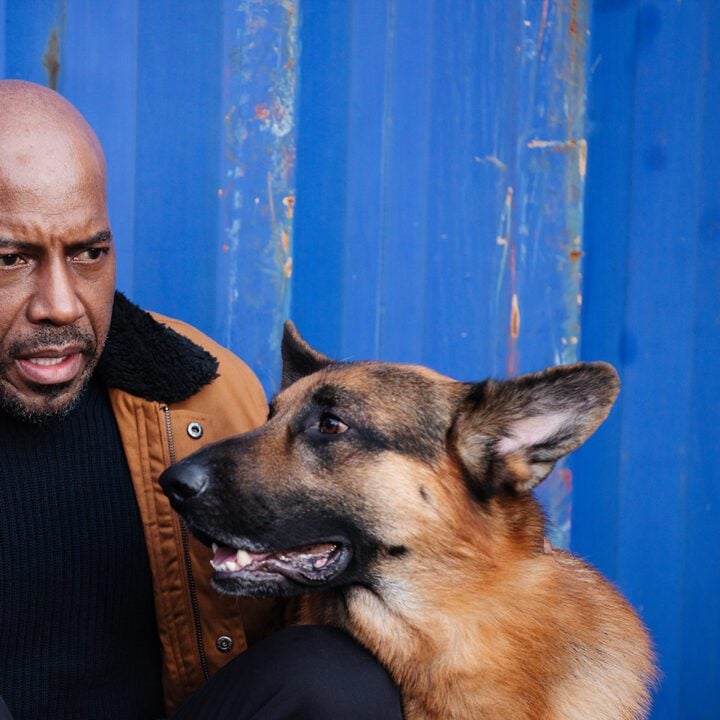 Hudson &amp; Rex Episode 310