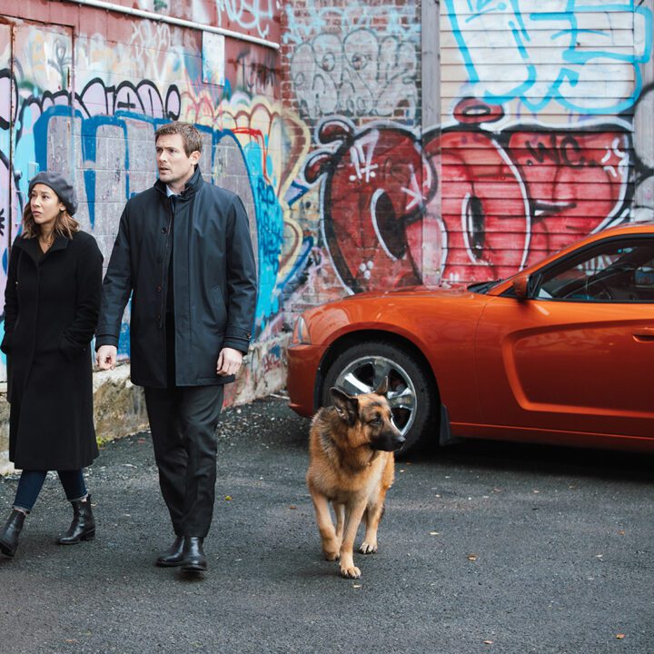 Hudson &amp; Rex Episode 311