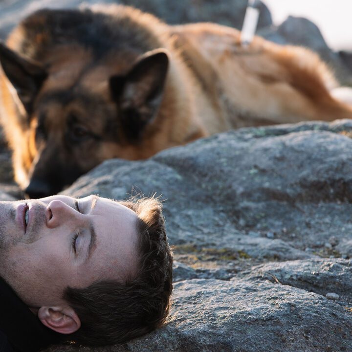 Hudson &amp; Rex Episode 312