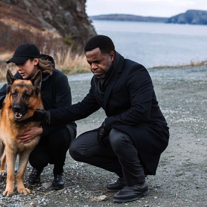 Hudson &amp; Rex Episode 312