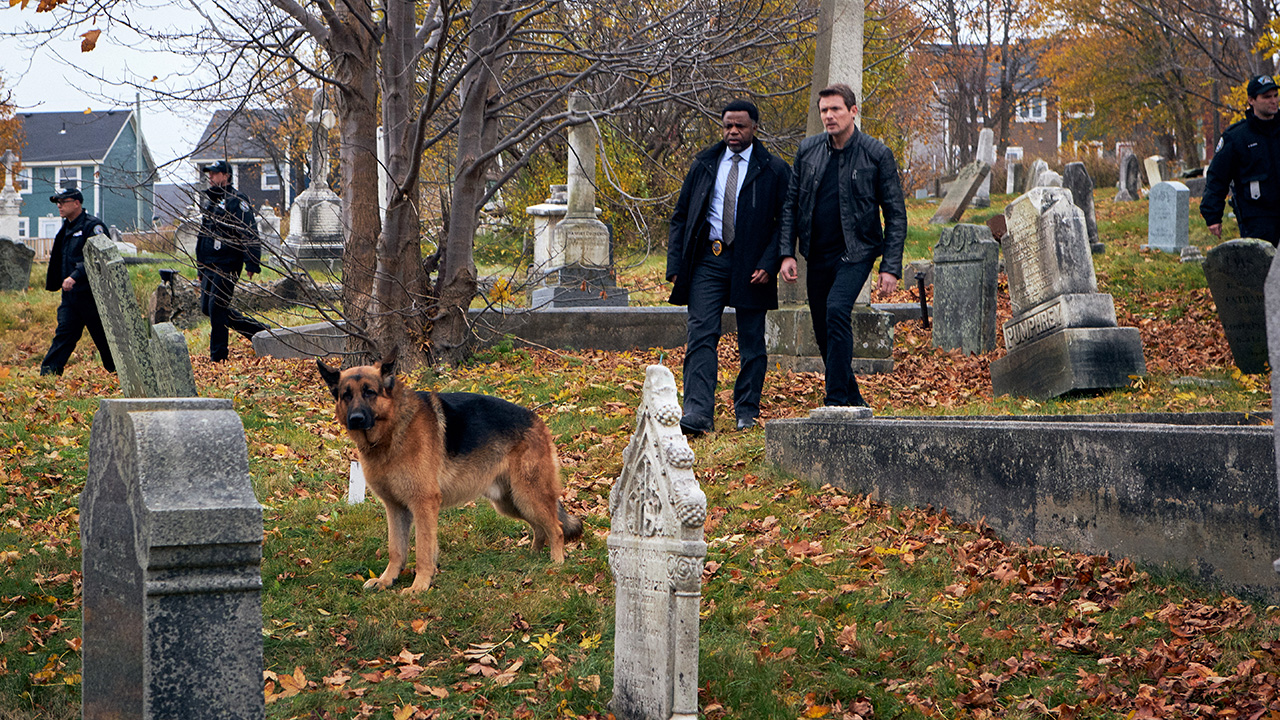 Hudson & Rex - Hudson & Rex – A Grave Danger