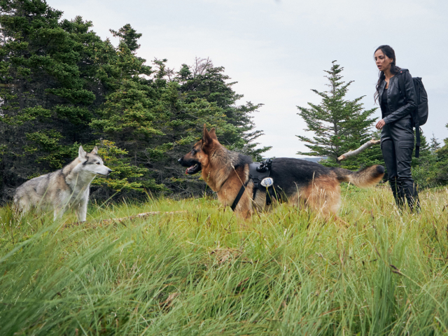 Hudson &amp; Rex Episode 207