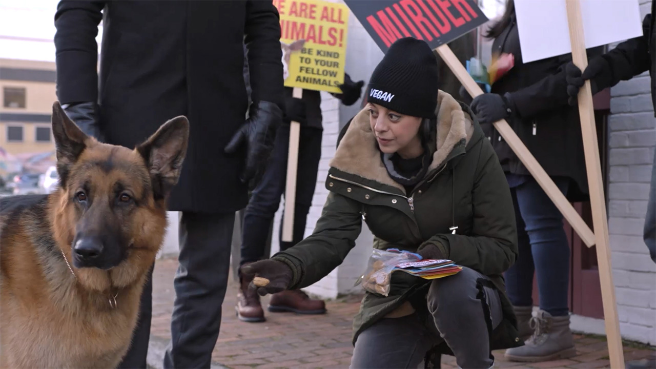 Hudson & Rex - Hudson & Rex – Where’s The Beef?