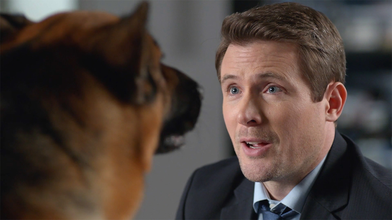 Hudson & Rex - Hudson & Rex – Playing His Cards Right