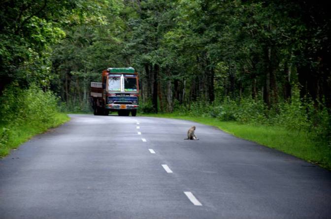 Scenic Roads, Kereala, Wayanad, India